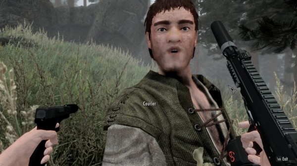 Мод на 1.4 ГБ для Skyrim добавляет более 203-х единиц огнестрельного оружия