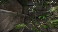 Обзор Planet Zoo Обзор Planet Zoo