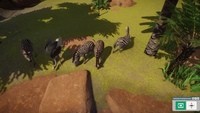 Обзор Planet Zoo Обзор Planet Zoo