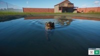 Обзор Planet Zoo Обзор Planet Zoo