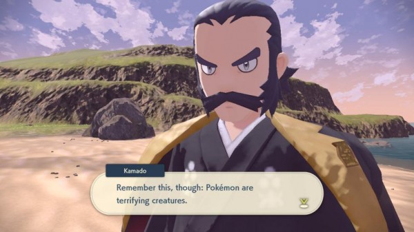 Pokémon Legends: Arceus
Pokémon Legends: Arceus