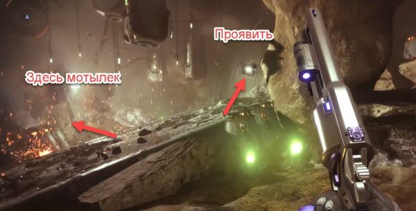Где расположены мотыльки четвертой недели в Destiny 2