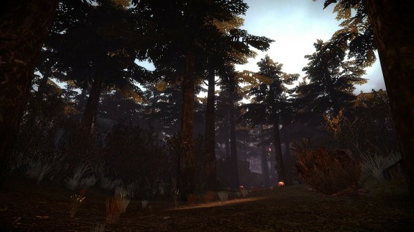 
В Steam вышло фанатское дополнение к Half-Life 2 о выживании повстанца в лесу
