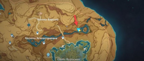Как играть на кори-барабанах на болоте Асипаттравана в Genshin Impact