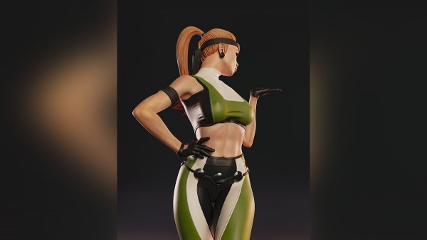 
Показана фигурка &laquo;правильной&raquo; Сони Блейд из Mortal Kombat
