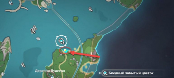 Что делать с загадочным ядром в Genshin Impact