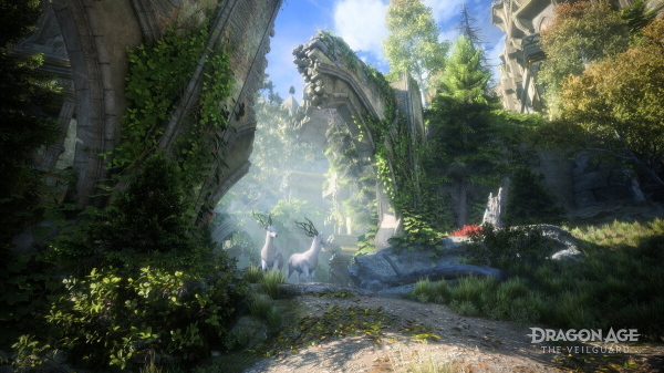 
BioWare показала первый геймплей Dragon Age: The Veilguard

