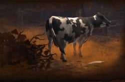 Полезные советы новичкам в Diablo 2: Resurrected