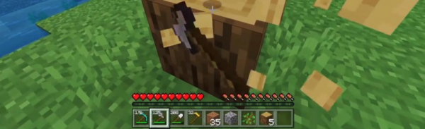 ТОП 5 самых интересных аддонов для Minecraft PE
