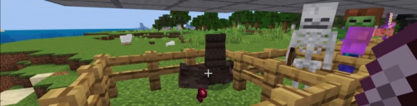 ТОП 5 самых интересных аддонов для Minecraft PE
