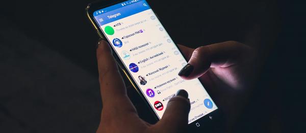 В Госдуме призвали разблокировать Telegram из-за сбоев в push-уведомлениях
В Госдуме призвали разблокировать Telegram из-за сбоев в push-уведомлениях